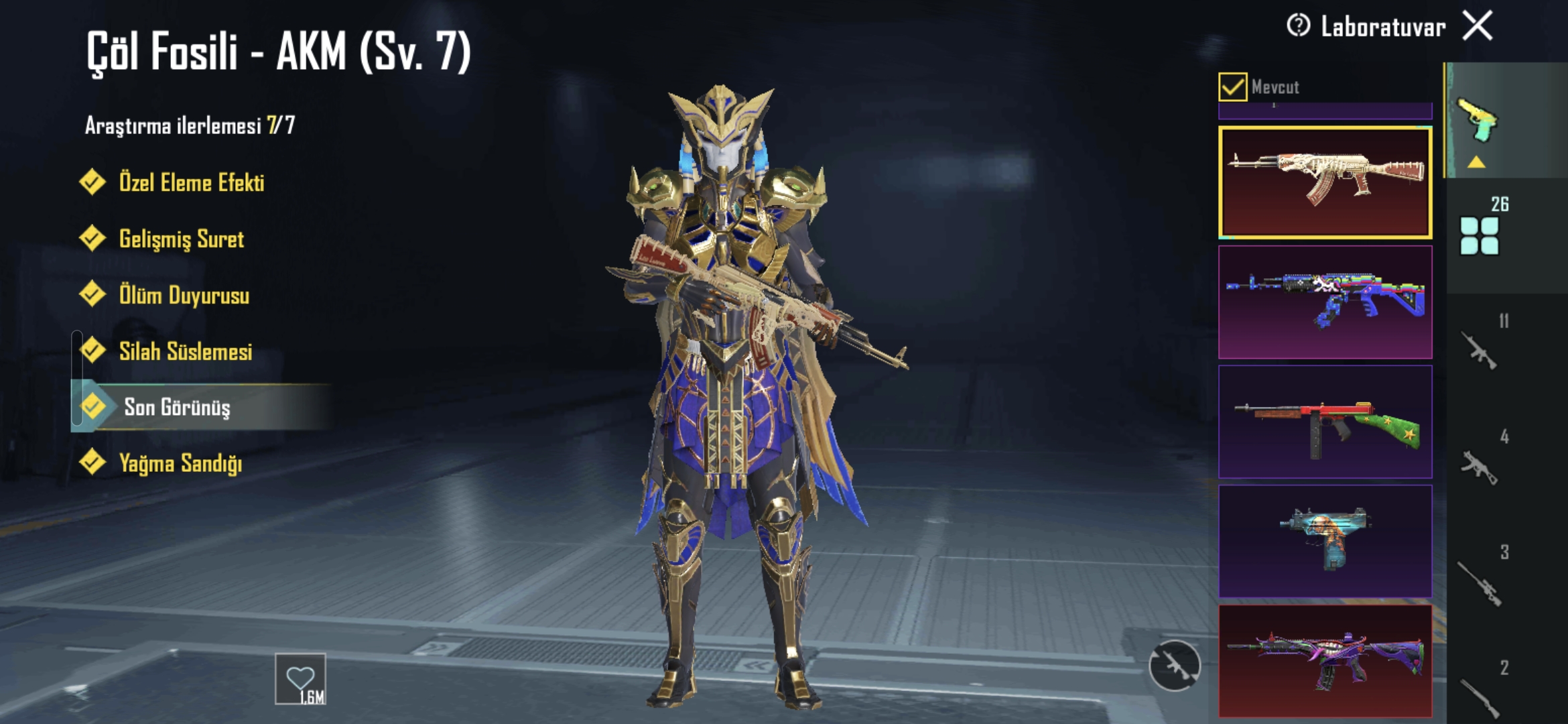 FİVARUN 6 ORTA DERECE DOLU